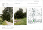 Karta biała, skan nr 11