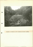EP - Ewidencja parkowa, skan nr 69
