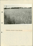 EP - Ewidencja parkowa, skan nr 71