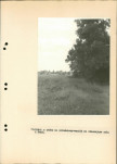 EP - Ewidencja parkowa, skan nr 35