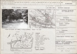 Karta biała, skan nr 1