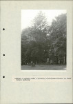 EP - Ewidencja parkowa, skan nr 31