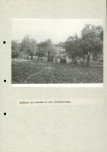 EP - Ewidencja parkowa, skan nr 32