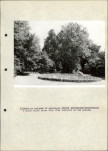 EP - Ewidencja parkowa, skan nr 47