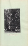 Ewidencja parkowa, skan nr 25