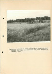 EP - Ewidencja parkowa, skan nr 46