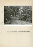 EP - Ewidencja parkowa, skan nr 46