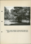 EP - Ewidencja parkowa, skan nr 48