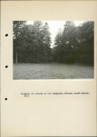 EP - Ewidencja parkowa, skan nr 50