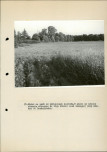 EP - Ewidencja parkowa, skan nr 53
