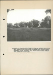 EP - Ewidencja parkowa, skan nr 56