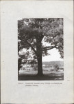 EP - Ewidencja parkowa, skan nr 46