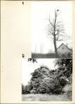 Ewidencja parkowa, skan nr 15