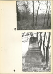Ewidencja parkowa, skan nr 16