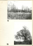Ewidencja parkowa, skan nr 20