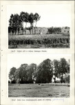 Ewidencja parkowa, skan nr 23