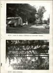 Ewidencja parkowa, skan nr 25
