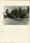 Ewidencja parkowa, skan nr 41