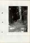 Ewidencja parkowa, skan nr 52