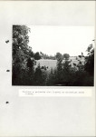 Ewidencja parkowa, skan nr 53