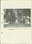 Ewidencja parkowa, skan nr 28