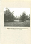 Ewidencja parkowa, skan nr 33