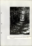 Ewidencja parkowa, skan nr 36