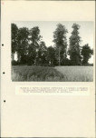 Ewidencja parkowa, skan nr 54