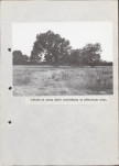 Ewidencja parkowa, skan nr 27