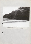 Ewidencja parkowa, skan nr 33
