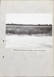 Ewidencja parkowa, skan nr 34