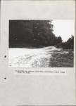 Ewidencja parkowa, skan nr 36