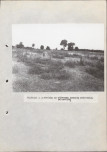 Ewidencja parkowa, skan nr 39