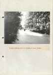 Ewidencja parkowa, skan nr 40