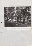 Ewidencja parkowa, skan nr 46