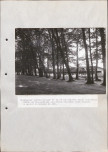 Ewidencja parkowa, skan nr 47
