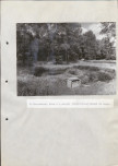 Ewidencja parkowa, skan nr 54