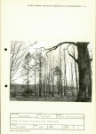 Ewidencja parkowa, skan nr 64