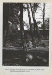 Ewidencja parkowa, skan nr 40