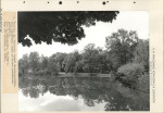 Ewidencja parkowa, skan nr 56