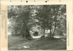 Ewidencja parkowa, skan nr 59