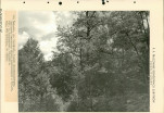 Ewidencja parkowa, skan nr 64
