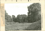 Ewidencja parkowa, skan nr 58