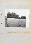 EP - Ewidencja parkowa, skan nr 38