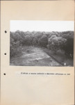 Ewidencja parkowa, skan nr 58