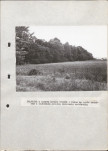 Ewidencja parkowa, skan nr 76
