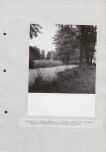 Ewidencja parkowa, skan nr 47