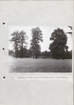 Ewidencja parkowa, skan nr 52