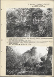 Ewidencja parkowa, skan nr 33