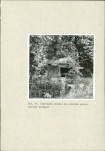 EP - Ewidencja parkowa, skan nr 38